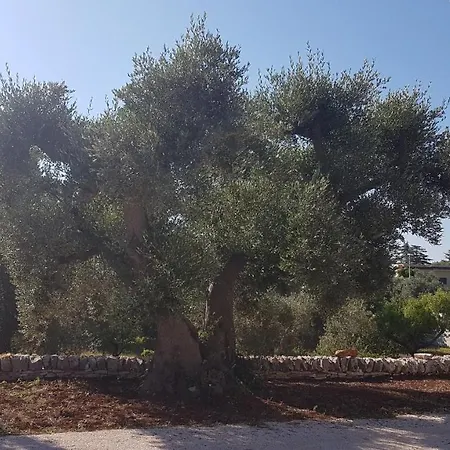 Trulli Giannina Relax & Gorgofreddo